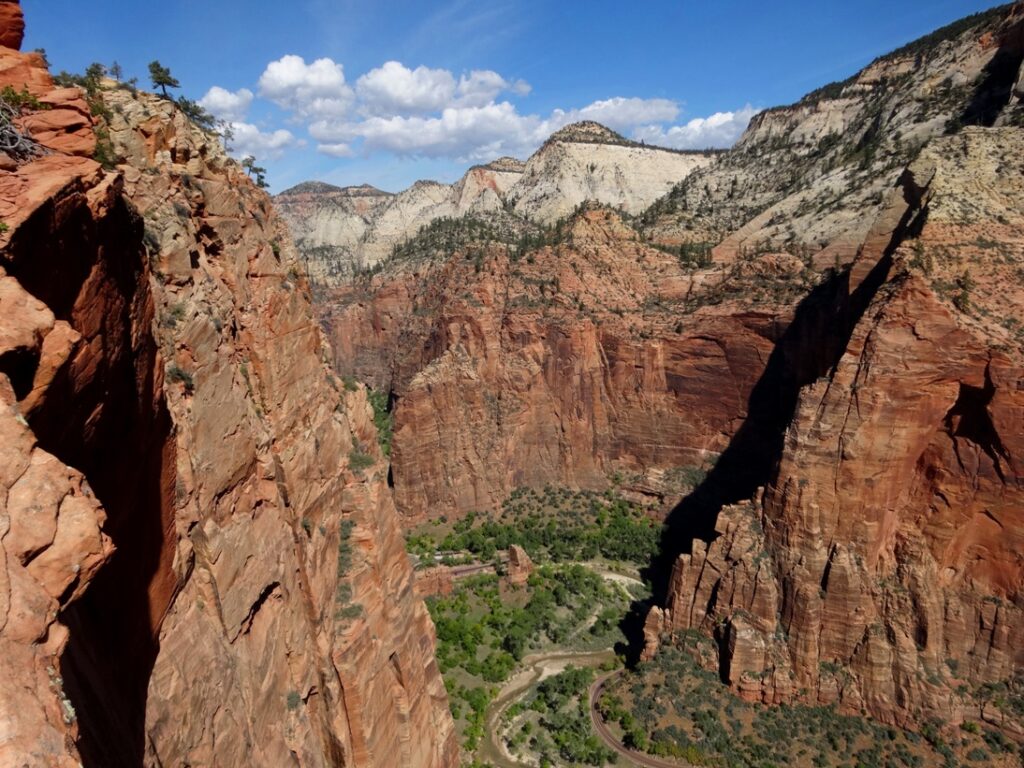Felswände im Zion Nationalpark.