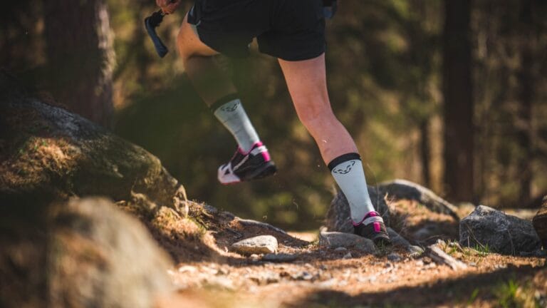 Trailrunning für Anfänger Titel