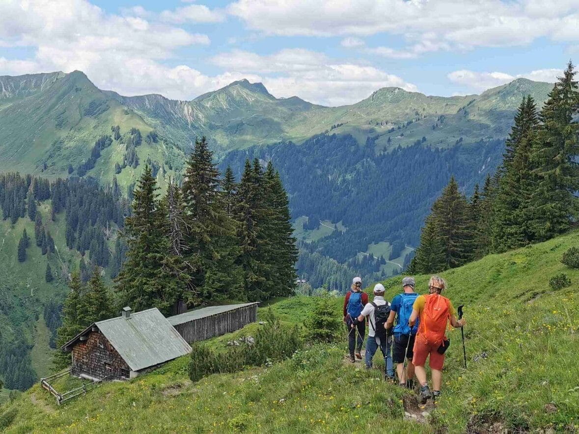 Vier Wanderer auf einem Feld, im Hintergrund die Berge des Kleinwalsertal