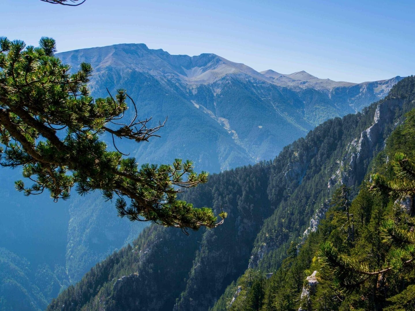 Erste Ausblicke auf die umliegenden Berge mit grünen Tannen im Vordergrund