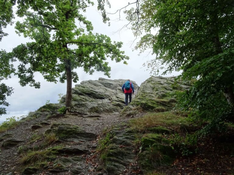 Titelbild Großer Zacken
