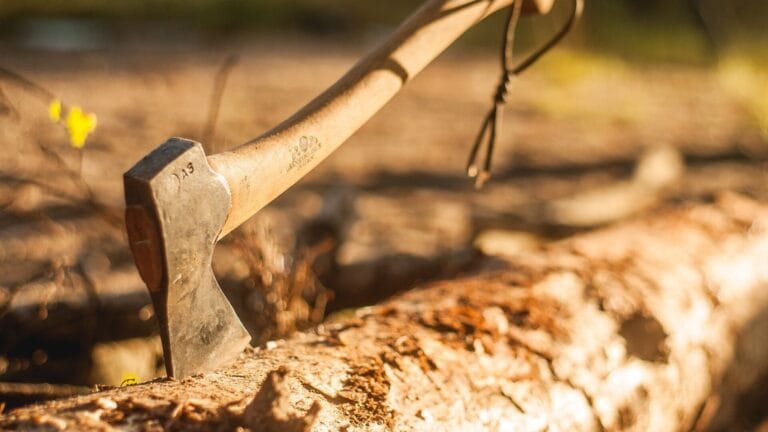 Titel Axt Kaufberatung