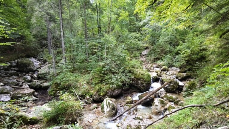 Reichenbachklamm Titel