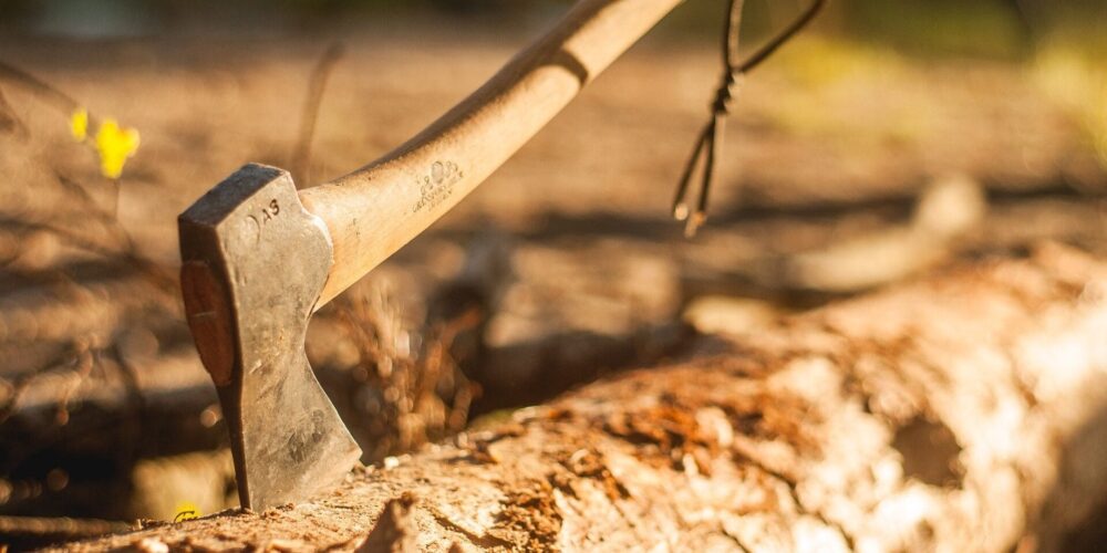 Titel Axt Kaufberatung