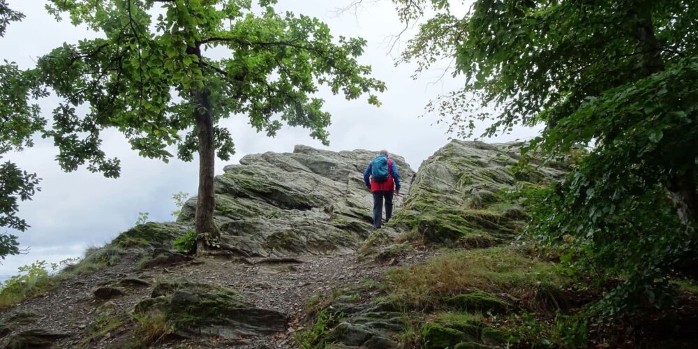Titelbild Großer Zacken