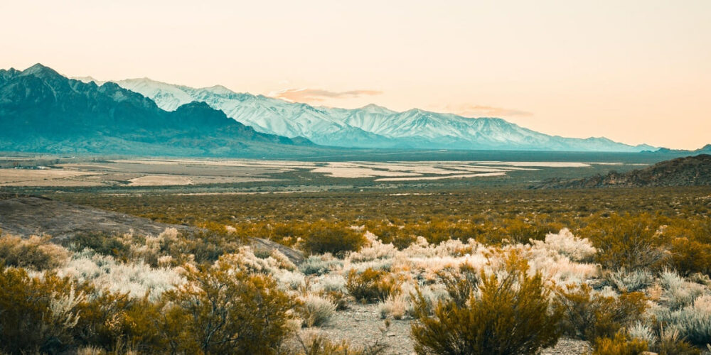 20230601_bluesign_Titel