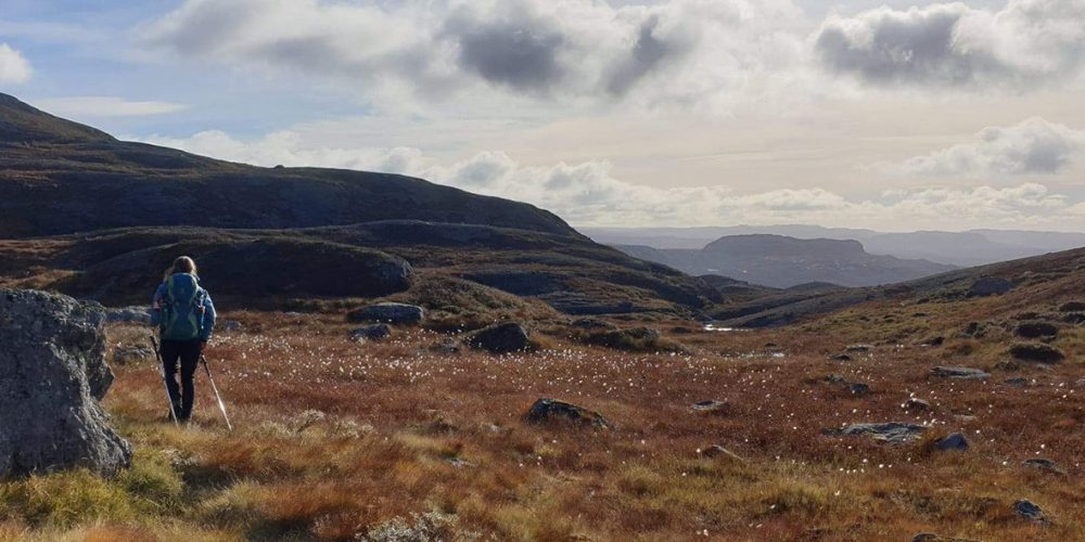 AchtsamReisen11_Sandsvanet, Norwegen IX