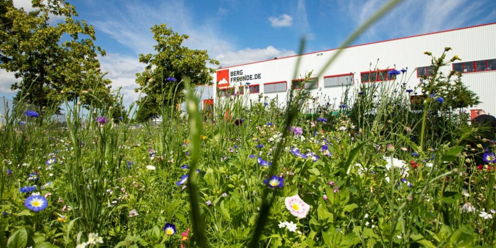 Header_U5A8118_Titel