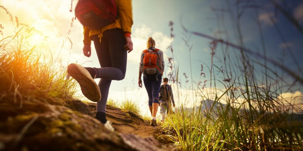 shutterstock_208356901