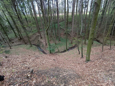 Bild 1 von Andrea zu AKU - Rock DFS Mid GTX - Approachschuhe