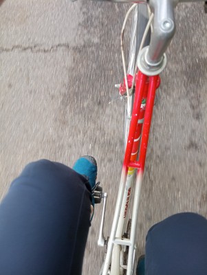 Bild 1 von Diana zu Ballop - Corso - Barfussschuhe