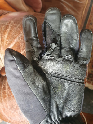 Bild 1 von Rene zu C.A.M.P. - G Pure - Handschuhe