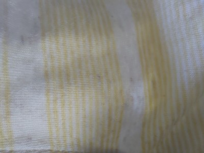 Bild 1 von Nataliia zu Craghoppers - Sten S/S T-Shirt - T-Shirt