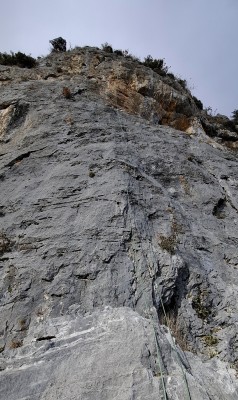 Bild 1 von Stefan zu Edelrid - Hummingbird Eco Dry 9,2 mm - Einfachseil