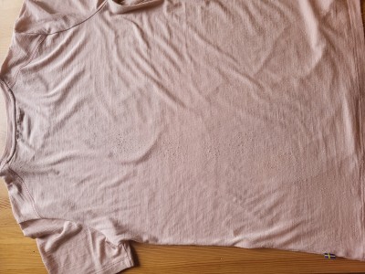 Bild 1 von Lena-Mareike zu Fjällräven - Women's Abisko Wool Fox S/S - Merinoshirt