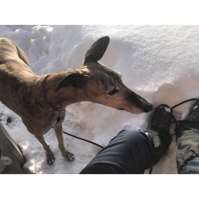 Bild 1 von Edith zu Hanwag - Tatra II Lady GTX - Wanderschuhe