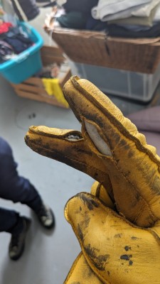 Bild 1 von Thomas zu Hestra - Deerskin Primaloft Rib - Handschuhe