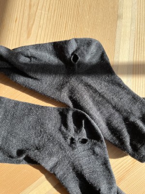 Bild 1 von Susanna zu Injinji - Liner Crew Wool - Multifunktionssocken