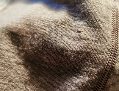 Bild 1 von Anna Katharina zu Kari Traa - Women's Rose L/S - Merinounterwäsche