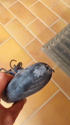 Bild 1 von Konrad zu La Sportiva - Finale - Kletterschuhe