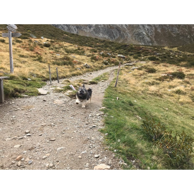 Bild 1 von Heidi zu La Sportiva - Women's Hyper GTX - Approachschuhe