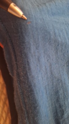 Bild 3 von Heike zu Ortovox - 120 Tec T-Shirt - Merinoshirt