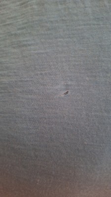 Bild 1 von Heike zu Ortovox - 120 Tec T-Shirt - Merinoshirt