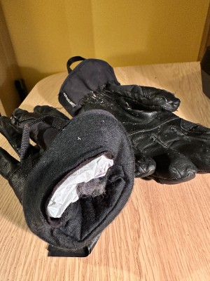 Bild 1 von Conal zu Ortovox - Alpine Pro Glove - Handschuhe