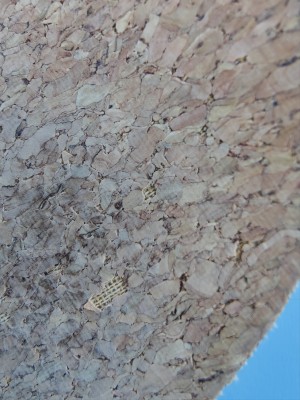 Bild 1 von Michael zu Reef - Cushion Phantom Cork - Sandalen
