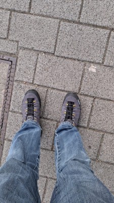 Bild 1 von michael zu Salewa - Alp Trainer 2 GTX - Multisportschuhe