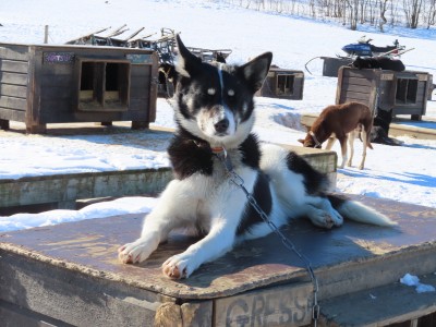 Bild 1 von Ingrid zu Sealskinz - Beetley - Sturmhaube