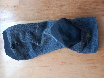 Bild 1 von Adolfo zu Smartwool - Performance Run Zero Cushion Ankle - Laufsocken