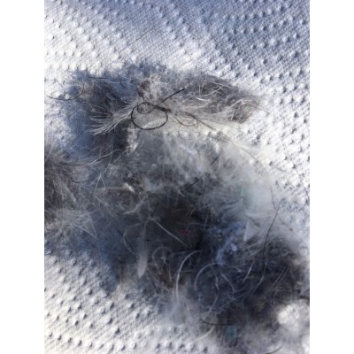 Bild 1 von Uwe zu Valandre - Grasshopper 400 - Daunenschlafsack