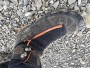 Bild 1 von Mark zu AKU - Croda Dfs GTX - Bergschuhe