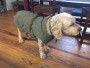 Bild 2 von Nadja zu Hunter - Dog Coat Uppsala Trend - Hundemantel