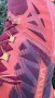 Bild 1 von Gero zu La Sportiva - Bushido III - Trailrunningschuhe