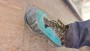 Bild 2 von MARCIN zu La Sportiva - TX4 Evo GTX - Approachschuhe