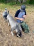 Bild 3 von Thomas zu Mystery Ranch - Blitz 30 - Wanderrucksack