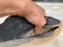 Bild 2 von Quentin zu Northwave - Rockit - Veloschuhe