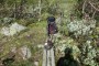 Bild 1 von Andreas zu Osprey - Aether Plus 100 - Trekkingrucksack