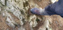 Bild 6 von Thomas zu Salewa - Dropline Mid - Wanderschuhe