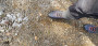 Bild 3 von Thomas zu Salewa - Dropline Mid - Wanderschuhe