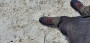 Bild 4 von Thomas zu Salewa - Dropline Mid - Wanderschuhe