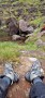 Bild 2 von Winnie  zu Salomon - Women's Quest 4 GTX - Wanderschuhe